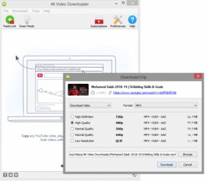 4K Video Downloader Plus 1.2.4.0036 instal