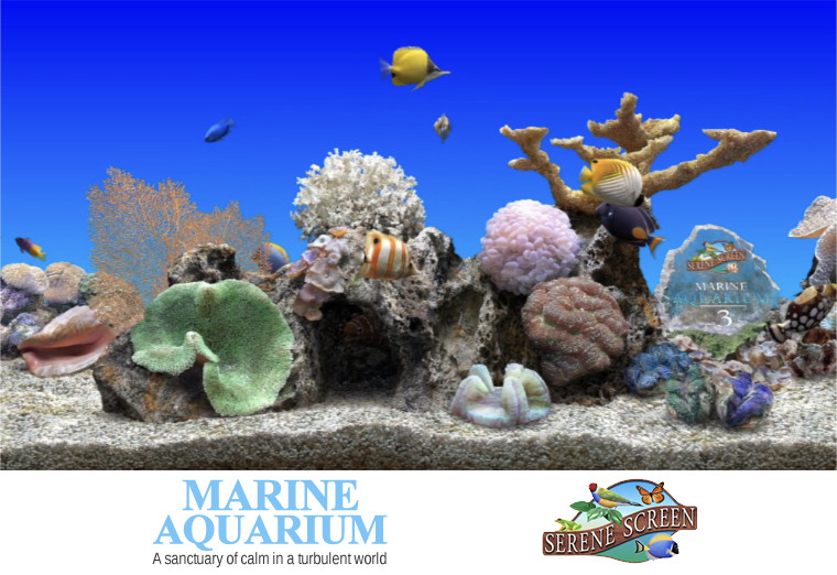 serenescreen marine aquarium 3 serial key