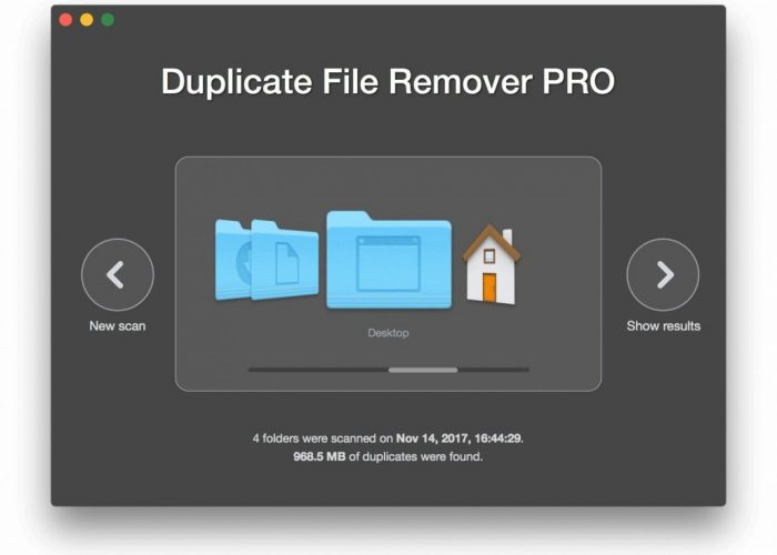 Duplicate File Finder Professional 2023.18 free instals